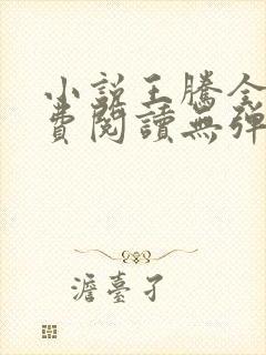 小说王腾全文免费阅读无弹窗