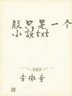 朕只是一个演员小说txt封面