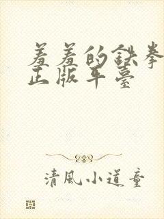 羞羞的铁拳漫画正版平台