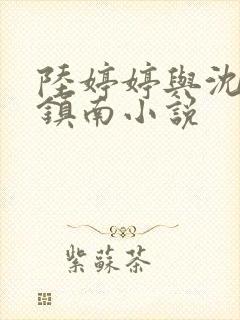 陆婷婷与沈悦沈镇南小说