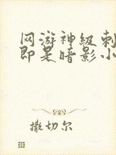 网游神级刺客我即是暗影小说