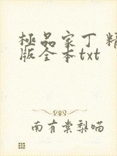 极品家丁 精校版全本txt