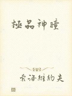 极品神瞳