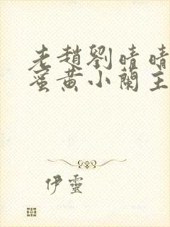 老赵刘晴晴和闺蜜黄小兰主角小说