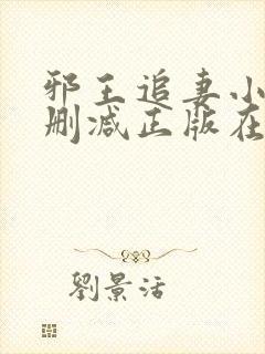 邪王追妻小说无删减正版在线阅读