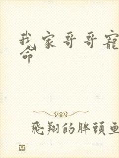 我家哥哥宠妹如命