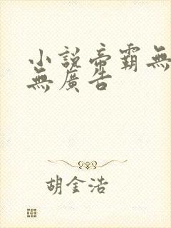 小说帝霸无弹窗无广告封面