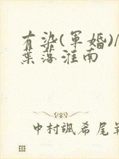 有染(军婚)/叶落淮南