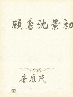 顾鸢沈景初
