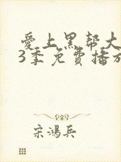 爱上黑帮大佬第3季免费播放