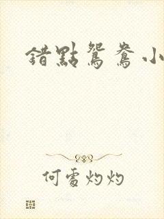 错点鸳鸯小说
