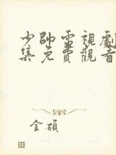 少帅电视剧48集免费观看