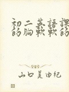 初二英语课代表的胸软软的封面