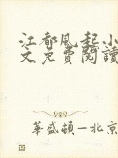 江都风起小说全文免费阅读无弹窗