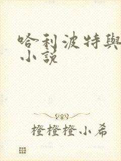 哈利波特与密室小说