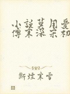 小说莫用爱囚我傅寒深宋初雪在线阅读