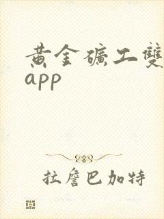 黄金矿工双人版app