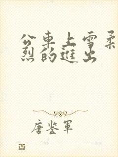 公车上雪柔被猛烈的进出