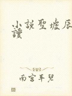 小说圣墟辰东阅读封面