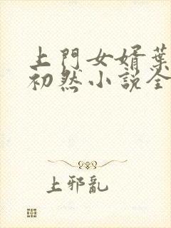 上门女婿叶辰萧初然小说全集