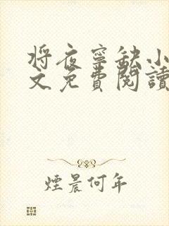 将夜宁缺小说全文免费阅读无弹窗封面