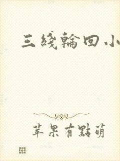 三线轮回小说