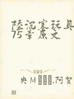 陆沉塞玩具高速75章原文