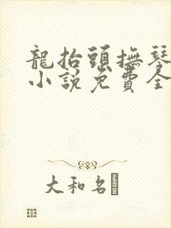 龙抬头抚琴的人小说免费全本阅读封面