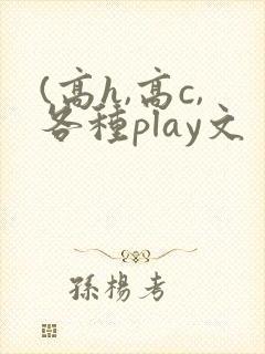 (高h,高c,各种play文封面