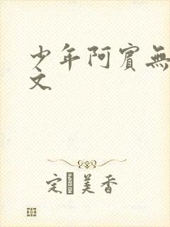 少年阿宾无删全文