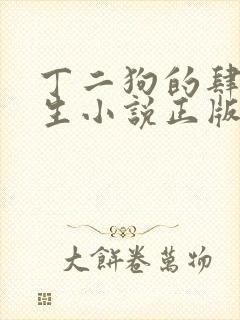 丁二狗的肆意人生小说正版