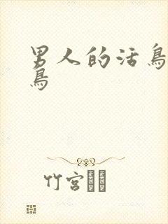 男人的活鸟和死鸟