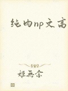 纯肉np文高h