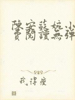 陈安苏婉小说免费阅读无弹窗
