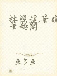 林照溪,萧砚川笔趣阁封面