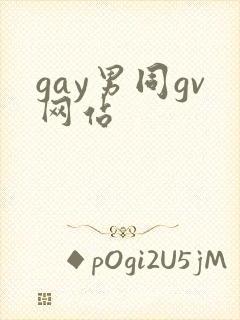gay男同gv网站