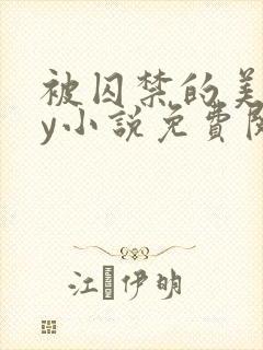 被囚禁的美人by小说免费阅读