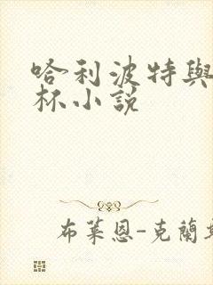 哈利波特与火焰杯小说