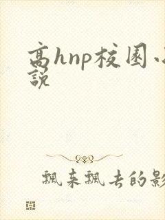 高hnp校园小说