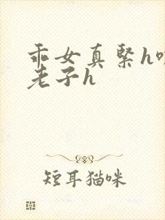 乖女真紧h嘶爽老子h封面