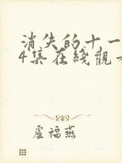 消失的十一层24集在线观看