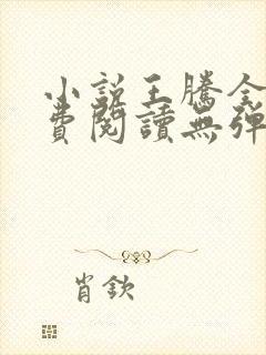 小说王腾全文免费阅读无弹窗