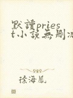 默读priest小说无删减正版在线阅读