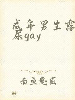 成年男生露j撒尿gay