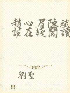 赵心眉陈斌的小说在线阅读