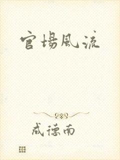官场风流封面