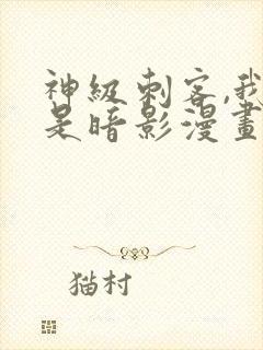 神级刺客,我即是暗影漫画