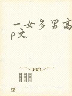 一女多男高hnp文