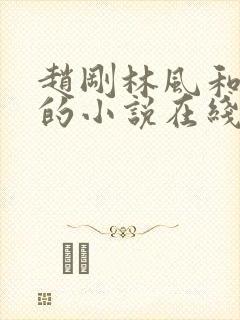 赵刚林风和苏柔的小说在线阅读