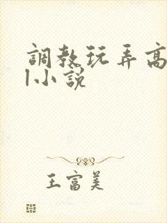 调教玩弄高潮gl小说封面